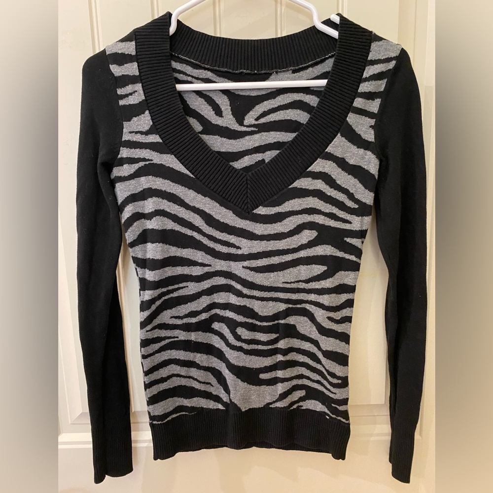 Express Women V-neck Animal Print Long Sleeve Sweater
